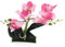 ibasenice Künstliche Pflanze Orchidee Mini Orchideen Gefälschte Orchideen Für Büro Schreibtisch Produkte