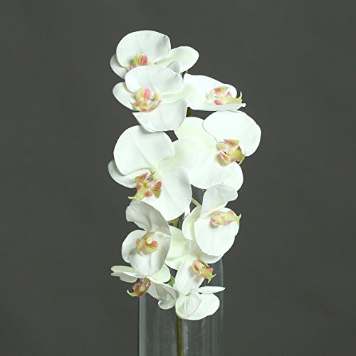 Orchidee Phalaenopsis creme-grün 90 cm Kunstblume von DPI