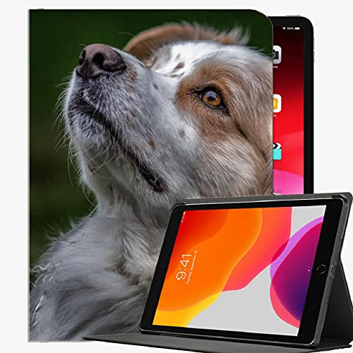 Fall für iPad Pro 9,7 Zoll entworfen, australischer Shepherd Aussie Dog Case Slim Shell Cover für iPad Pro 9.7