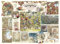 Cobble Hill 40017 Brambly Hedge Autumn Story-Beispielposter enthalten, merhfarbig