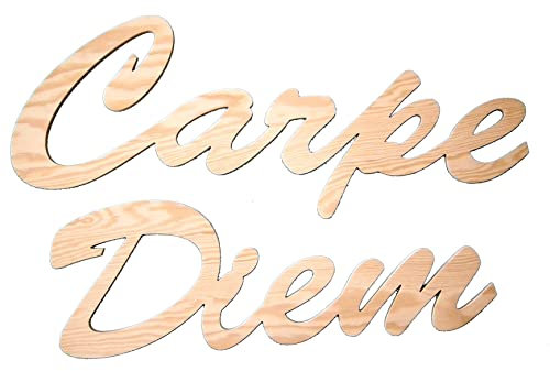 Große Holz Buchstaben Carpe Diem 121 cm Schriftzug in Latein Wandtattoo Spruch