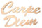 Große Holz Buchstaben Carpe Diem 121 cm Schriftzug in Latein Wandtattoo Spruch
