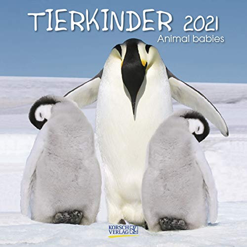 Tierkinder - Broschur Kalender 2021 - Korsch-Verlag - Kalender mit Platz für Eintragungen - offen 29,8 cm x 59,8 cm