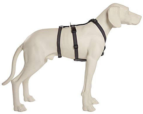 Feltmann NoExit Hundegeschirr® - ausbruchssicher, Panikgeschirr, Silber Muster, Bauchumfang 70-90 cm, 25 mm Bandbreite