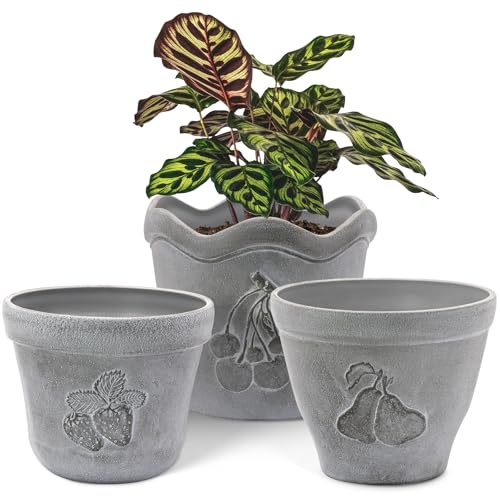 ZMTECH Plant Pots with Drainage Holes, 17.5/19/21cm Concrete Look Plastic Flower Pots with Fruit Pattern for Indoor Outdoor Planter (Set of 3, Grey)
