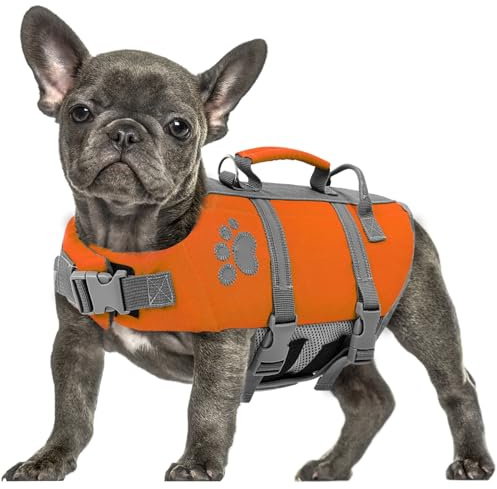 Queenmore Schwimmring für Hunde, Größe XL, leicht, verstellbar | reflektierend, für große Hunde, Schwimmen, Kajak, Paddleboarding, für Labrador, Golden Retriever (XL, Orange)