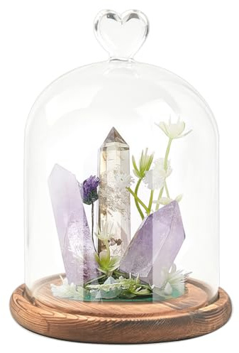 WADORN Cloche en verre transparent de 16,5 x 12,9 cm avec poignée supérieure en forme de cœur et base en bois marron pour objets de collection antiques, spécimens, plantes, décoration de table de Noël