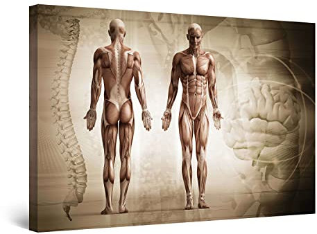 Startonight Bilder Körper Anatomie, Leinwandbilder Moderne Kunst, Abstrakte Wanddeko Kunstdrucke, Wandbilder Schlafzimmer 60 x 90 cm, Tag Nacht Effekt, Elegante Geschenkidee Wand Deko