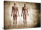 Startonight Bilder Körper Anatomie, Leinwandbilder Moderne Kunst, Abstrakte Wanddeko Kunstdrucke, Wandbilder Schlafzimmer 60 x 90 cm, Tag Nacht Effekt, Elegante Geschenkidee Wand Deko