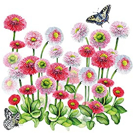 Ambiente Serviette Pink Bellis 5 oder 20 Stück 20 Stück