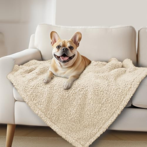 Luciphia Premium-Fleece-Haustierdecke für kleine und mittelgroße Hunde, Welpen, weich, Sherpa, beruhigende Katzen-Überwurfdecke (Beige, 104,1 x 78,7 cm)