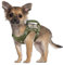 SALFSE Taktisches Hunde-Trainingsgeschirr, Outdoor-Arbeitsweste, verstellbar, Militär, MOLLE-Hundeweste, Geschirr mit Gummigriff (XS (1 Stück, Camo)