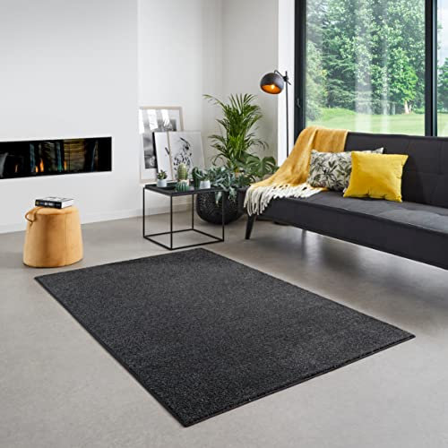 Carpet Studio Maine Teppich Schwarz, Wohnzimmer 140x200 cm, Kurzflor, Schlafzimmer
