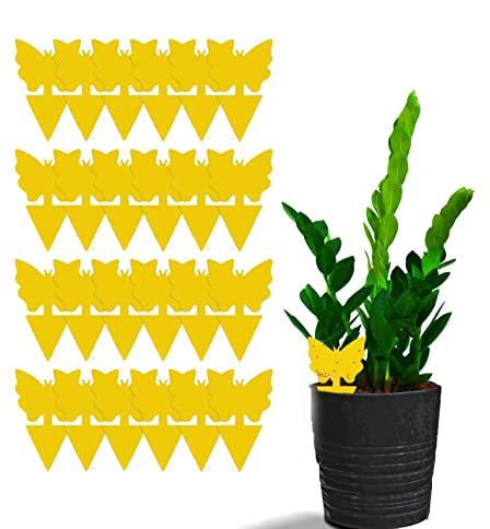 24 Fruit Fly & Fungus Gnat Traps, Double Sided Yellow Sticky Bug Insect Killer for Indoor and Outdoor Plants by unel (24)