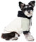 Spark Paws Hunde-Kapuzenpullover – Premium-Qualität, butterweich, hervorragender Komfort und Passform, beruhigende Fleece-Innenseite, geeignet für alle Rassen - Olive Cream - M