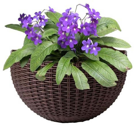 Wand-Blumentopf, schöner Wand-Pflanzgefäß, halbrunde Pflanzkörbe, europäischer Stil, Rattan-Imitat, halbrund, Wand-Blumentopf, Wanddekorationen für Balkon, Zaun, Heimbüro, 21,6 x 16,3 cm, Kaffee