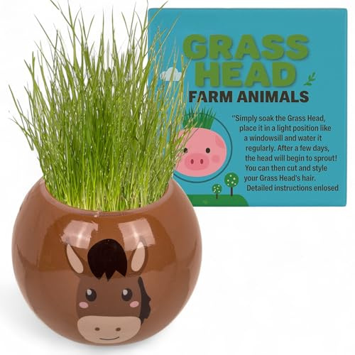MIJOMA Graskopf Pflanzset – Tierfiguren mit Erde & Grassamen, 6,5 cm Kunststofftopf zum Basteln & Bepflanzen, DIY-Deko für Kinder & Erwachsene (Pferd – Farmtiere)
