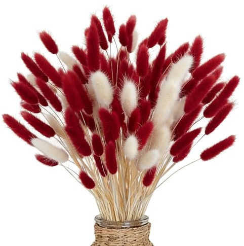 66 PCS Getrocknete Pampasgrasdekoration, Pampasgras-Bouquet, Natürlich Getrocknete Pampas, für Hochzeits Boho Tischdekoration rustikale Bauernhaus-Party Baby-Dusche-Dekorationen(Rot und Weiß)