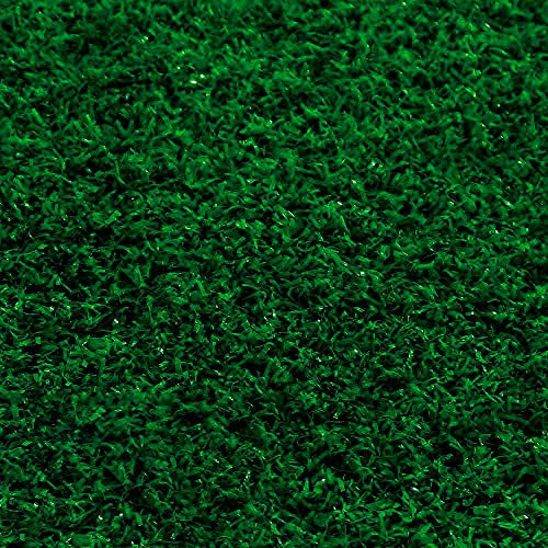 PAPILLON Cesped Artificial 10 mm. Superficies Pequeñas Rollo 1x10 Metros