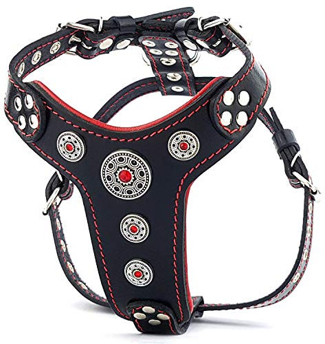 Bestia ''Bijou'' Leder Brustgeschirr für Kleine bis Mittelgroße Hunde. 100% Leder. Handgefertigt. Top Qualität