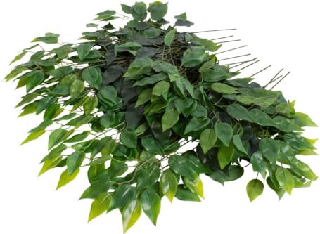 Evergreens künstlicher (Deko) Laubzweig 12 Stück (Ficus grün)