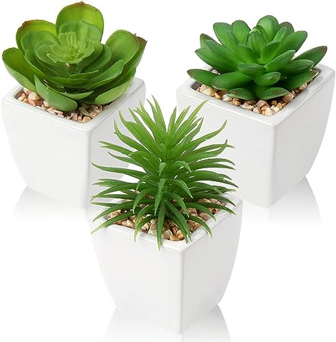 Hollyone 3PCS Small Fake Succulent Plants, Artificial Succulent in White Ceramic Pot, Decorative Faux Plants Office Desk Accessories, Greenery for Home Decor, Bathroom, Bedroom, Table Decorations