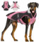 ALAGIRLS Hundemantel Kleine Hunde Hundemantel Windhund Hundemantel mit Geschirr Winter Herbst Warme Hundebekleidung für Große Hund Hundemantel Wasserdicht ALADC1105-Pink-XXL
