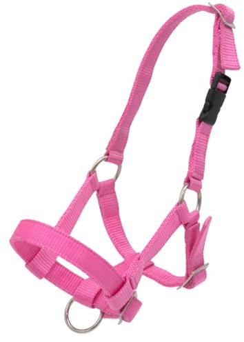 PFIFF 103101 Alpakahalfter „Pako“, Größenverstellbares Halfter für Alpakas, mit Klippverschluss, Pink