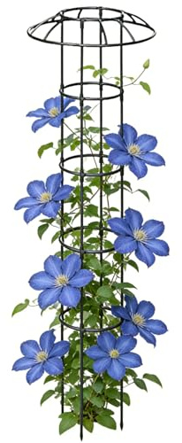 Garten Schirmförmiges Spalier - Vertikale Und Dekorative Rankhilfe Für Kletterpflanzen,Stützkäfig Regenschirm Rankgitter,Für Weinreben Rosen Drachenfrucht Gurken Hortensien Efeutute