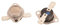 Indesit C00112196 Ariston Clatronic Creda Export Hotpoint Proline Tumble Dryer Cut Out Kit