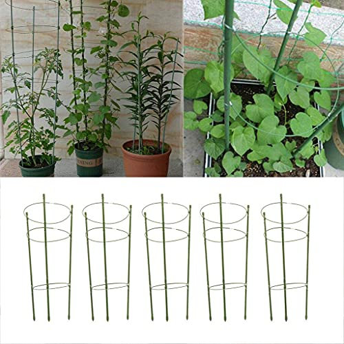 5 pcs Outdoor Peony Frame Heavy Duty Herbaceous Garden Plant Support Ring Perennial Flower Border Cage H:45cm