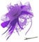 Fascinator Hut Damen Kopfschmuck Hochzeit Hüte Hat Clips Schleier Stirnband Tea Party Mesh Kopfbedeckung Frauen Pillbox Hut Haarschmuck für Cocktail Halloween Oktoberfest Gothic Lila