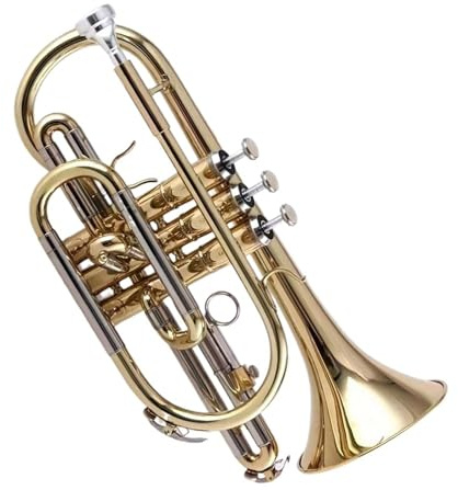 Standard Trompeten Trompete Messing Lackiert Kornett B-Dur Professionelle Trompete Anfänger Horn Instrument