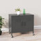 OHOOWOO Lagerschrank Anthrazit 60x35x56 cm Stahl, Aufbewahrungsschränke, Schließfächer