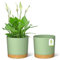 ZMTECH 20cm Plant Pots, Modern Planters with Drainage Holes and Detachable Saucer, Plastic Flower Pots for Plants for House Garden Windowsill (Set of 2, Green)