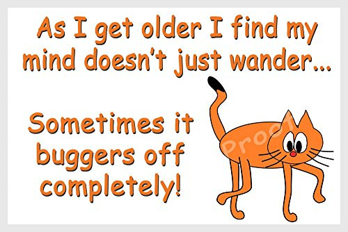 Funny Cat Fridge Magnet Gift - As I get Older...