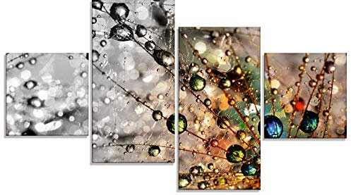 ARTLAND Wanddeko Glasbilder Wandbild Glas Bild Set 4 teilig 120x70 cm Querformat Natur Botanik Blumen Pusteblume Frühling Wassertropfen Modern T9IN