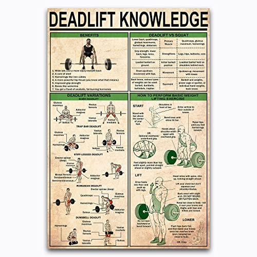 FJQWKLF Deadlift Knowledge Metall-Blechschilder, Fitness-Grundlagen, Infografik-Poster, Fitnessstudio, Wanddekoration, Zuhause, Zimmer, Club, Plakette, 30,5 x 40,6 cm