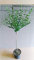 Zwerg - Duftflieder, Stämmchen, Syringa meyeri Palibin, 120-130 cm + Dünger