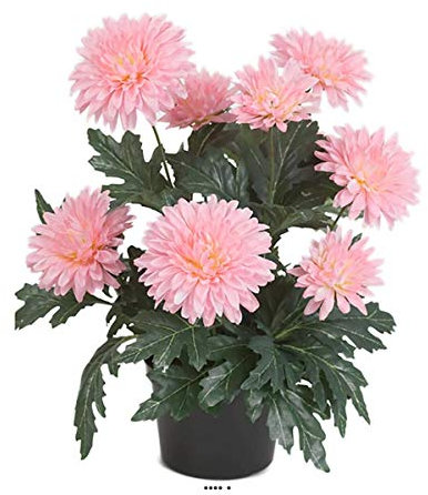 Artificielles.com - Chrysantheme Artificiel en Pot H 30 cm 9 Fleurs Adorable Rose pâle - Couleur: Rose pâle