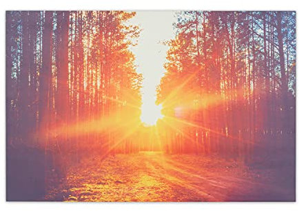 Klarstein Infrared Heater, 580W Infrared Panel Heater, Bathroom Electric Heater w/Thermostat, Remote, & Timer, Electric Heater Wall Mounted, CO2-Free Wall Mounted for Home Low Energy