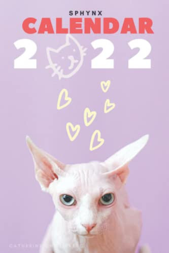 Sphynx Calendar 2022: Sphynx Cat Diary And Calendar 2022-2023 Agenda Week To View A5 Daily Weekly Sphynx Planner Notebook With US UK Holidays As Sphynx Cat Gifts For Kids, Women And Men