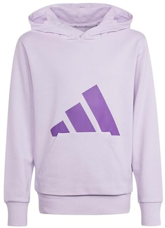 adidas Unisex Kids Essentials Big Logo Hoodie, Ice Lavender/Active Purple, 9-10 Years