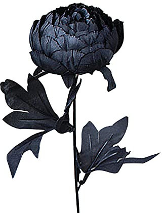 Marooma Künstliche Pfingstrosen, Seidenblumen, 6 Stück, künstliche Blumen, Blumensträuße, realistische Hortensien, Pfingstrosen, für Muttertag, Hochzeit, Heimdekoration (schwarz)