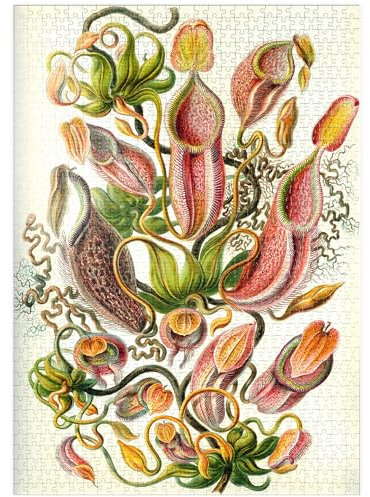 MyPuzzle Nepenthaceae - Kannenpflanze, Vintage Art Poster, Ernst Haeckel - Premium 1000 Teile Puzzle - MyPuzzle Sonderkollektion von Havana Puzzle Company