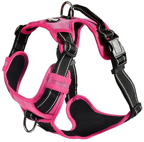 Bobby Rando Walk Harnais pour Chien, Petit Chien, en Nylon, sûr, Confortable, réfléchissant, réglable, Fuchsia, S/32-48x1,6 cm