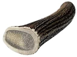 Whole Antler Dog Chew – Durable, Long-Lasting, Odourless, Natural Chew Toy for Strong Chewers – Hard-Wearing, Mineral-Rich, All-Natural, Low-Odour, Safe & Healthy Treat to Support Teeth & Gums-M-Size