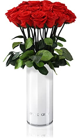 EG EMMIE GRAY Classic Vase Set | Long Stem Infinity Rosen inklusive weißer Glasvase - Luxuriöser Rosenstrauß aus echten Premiumrosen, die 1-3 Jahre halten, haltbare Rosen (Vibrant Red, 15 Rosen)