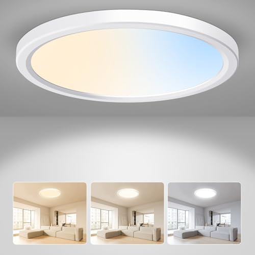 ALUSSO LED Ceiling Light, 24W Bathroom Ceiling Light 3CCT 3000K 4000K 6500K 2400LM, IP44 Waterproof Modern Ceiling Lights for Living Room Bedroom Kitchen Toilet Stair Loft Porch Garage, Ø29cm