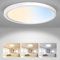 ALUSSO LED Ceiling Light, 24W Bathroom Ceiling Light 3CCT 3000K 4000K 6500K 2400LM, IP44 Waterproof Modern Ceiling Lights for Living Room Bedroom Kitchen Toilet Stair Loft Porch Garage, Ø29cm